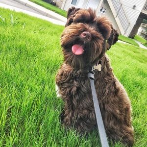 Meet your Posher, Whitney